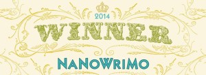 Nanowrimo winner