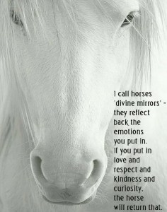 horse miror